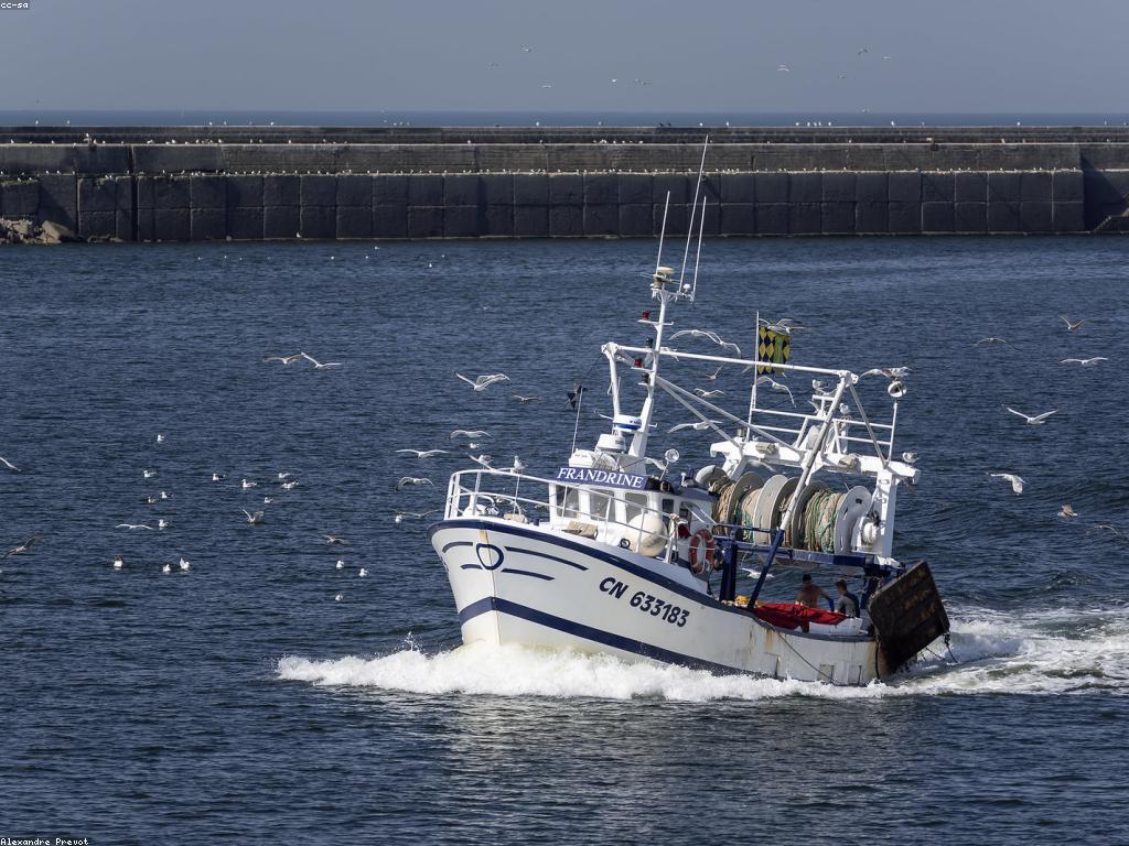 យុទ្ធសាស្ត្របាញ់ត្រី: ការត្រួតពិនិត្យសម្ពាធក្នុងការចាប់ត្រី