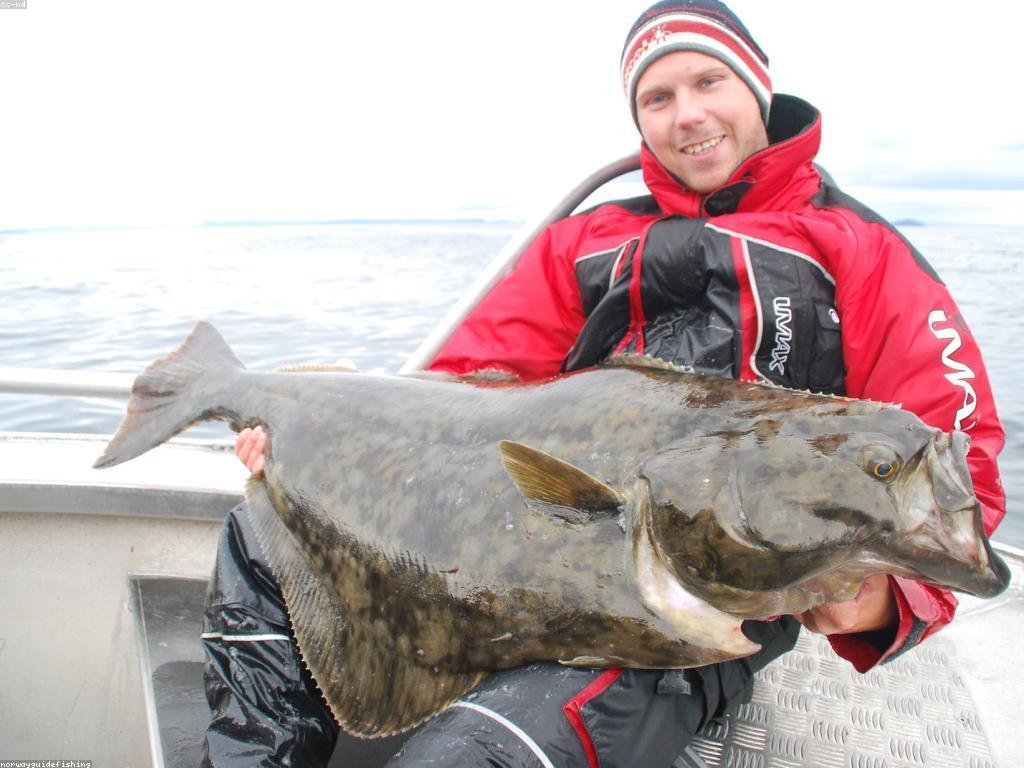 នាវាបាញ់ត្រី: ប្រភេទនិងការប្រើប្រាស់