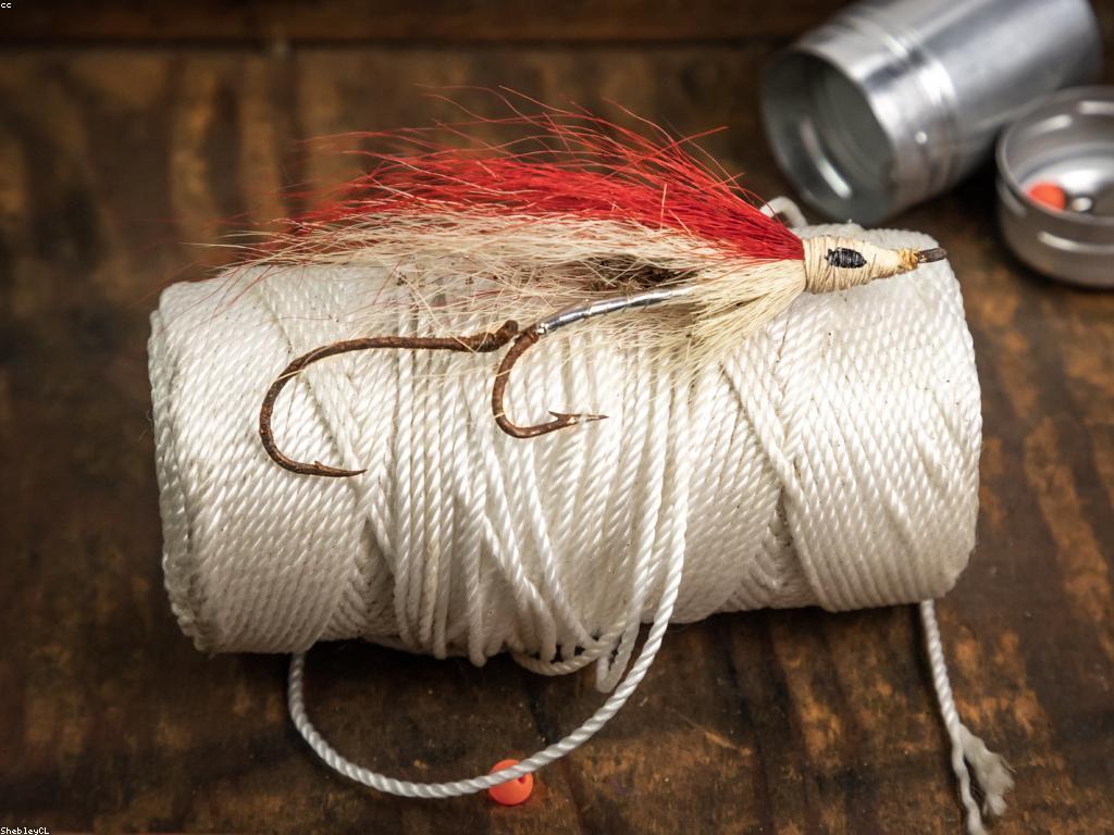 ការជ្រើសរើសឧបករណ៍បាញ់ត្រីសម្រាប់អ្នកចាប់ត្រីដំបូង