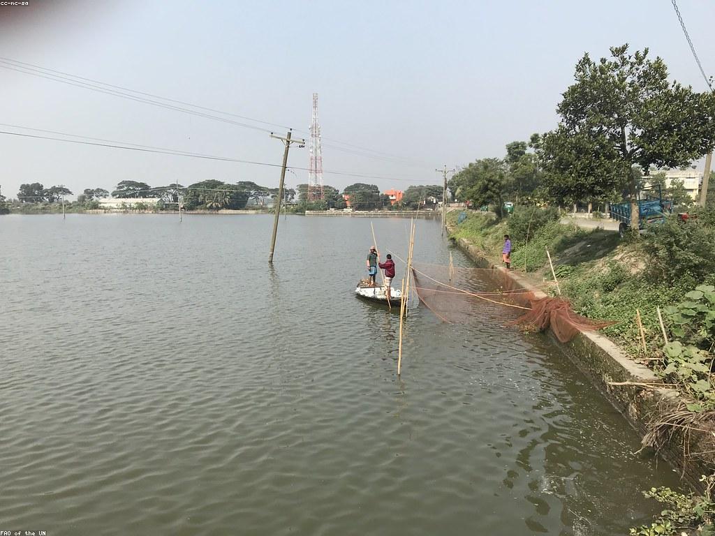 យុទ្ធសាស្ត្របាញ់ត្រី: បច្ចេកទេសដើម្បីទទួលបានការចាប់ត្រីល្អប្រសើរ