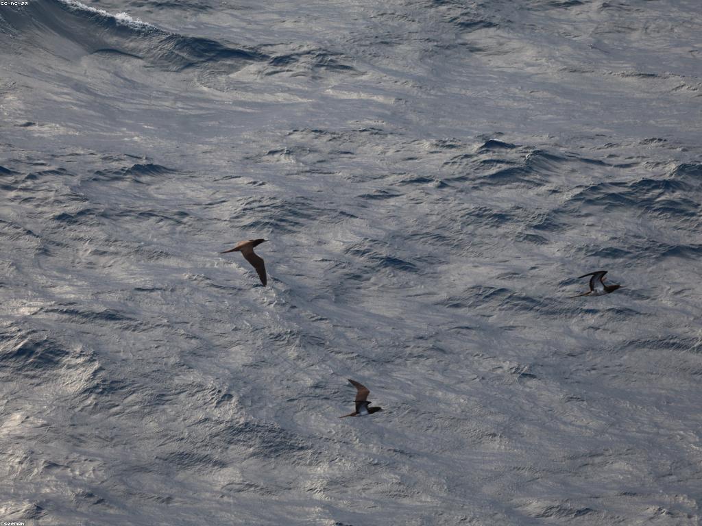 យុទ្ធសាស្ត្របាញ់ត្រី: របៀបស្វែងរកនិងយកត្រីជោគជ័យ