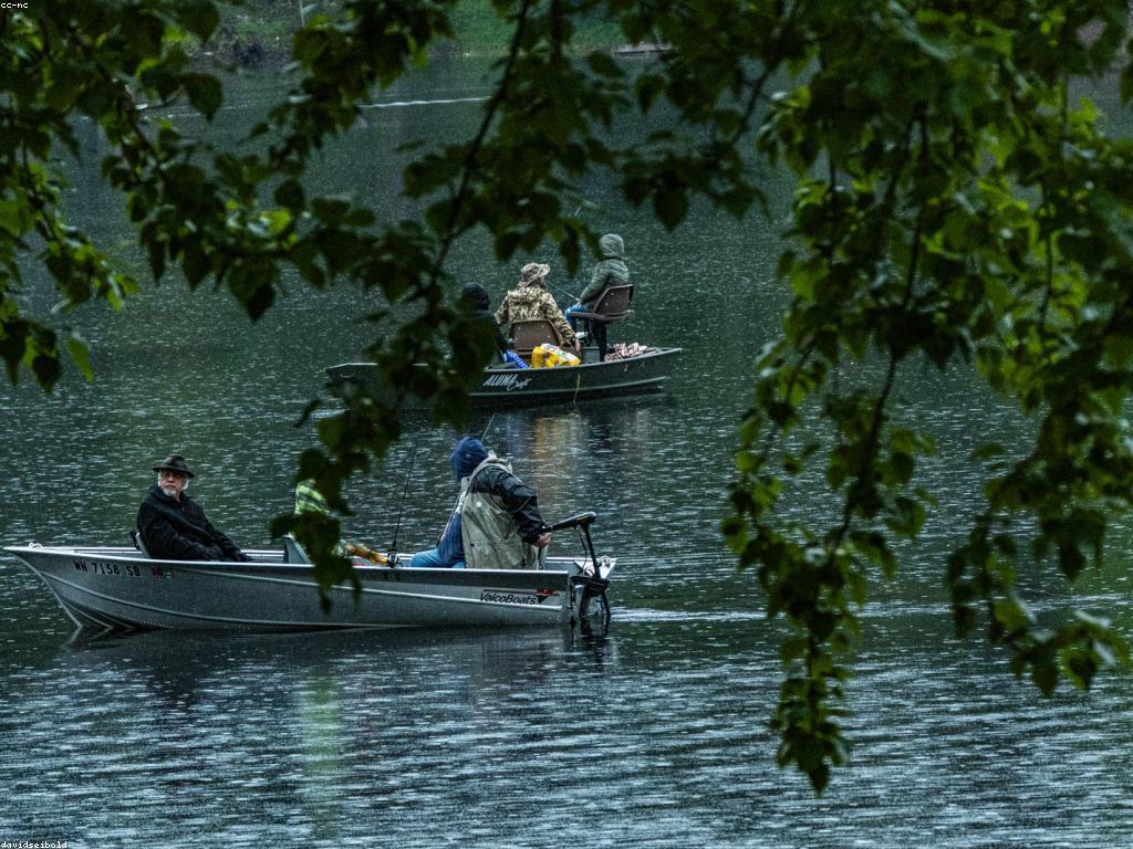 ការប្រកួតបាញ់ត្រី: លក្ខណៈ និងយុទ្ធសាស្ត្រសំខាន់ៗ