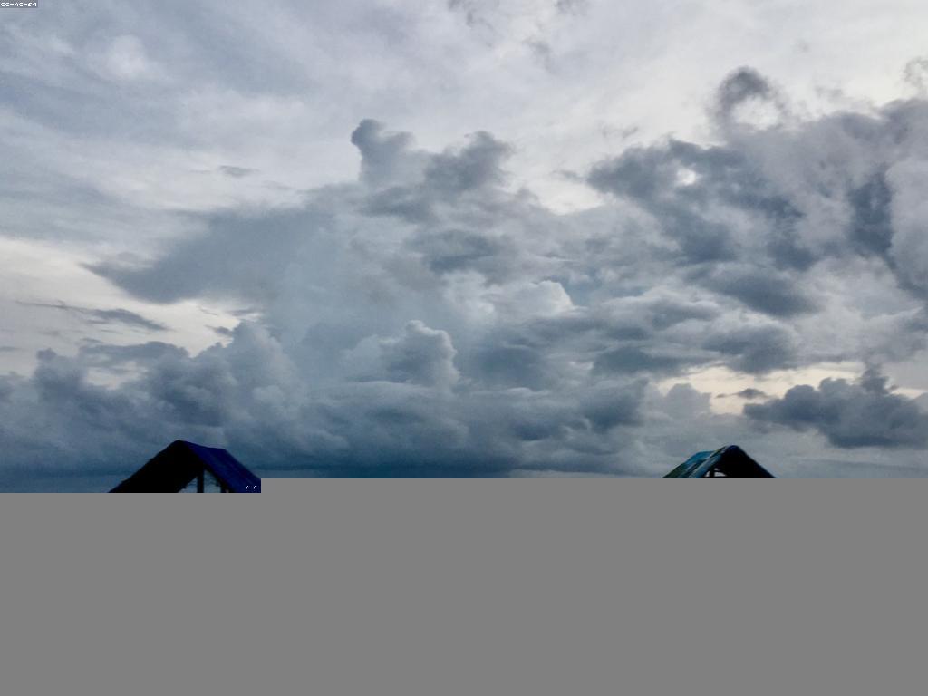 យុទ្ធសាស្ត្របាញ់ត្រីសម្រាប់អេកូស៊ីស្តេម