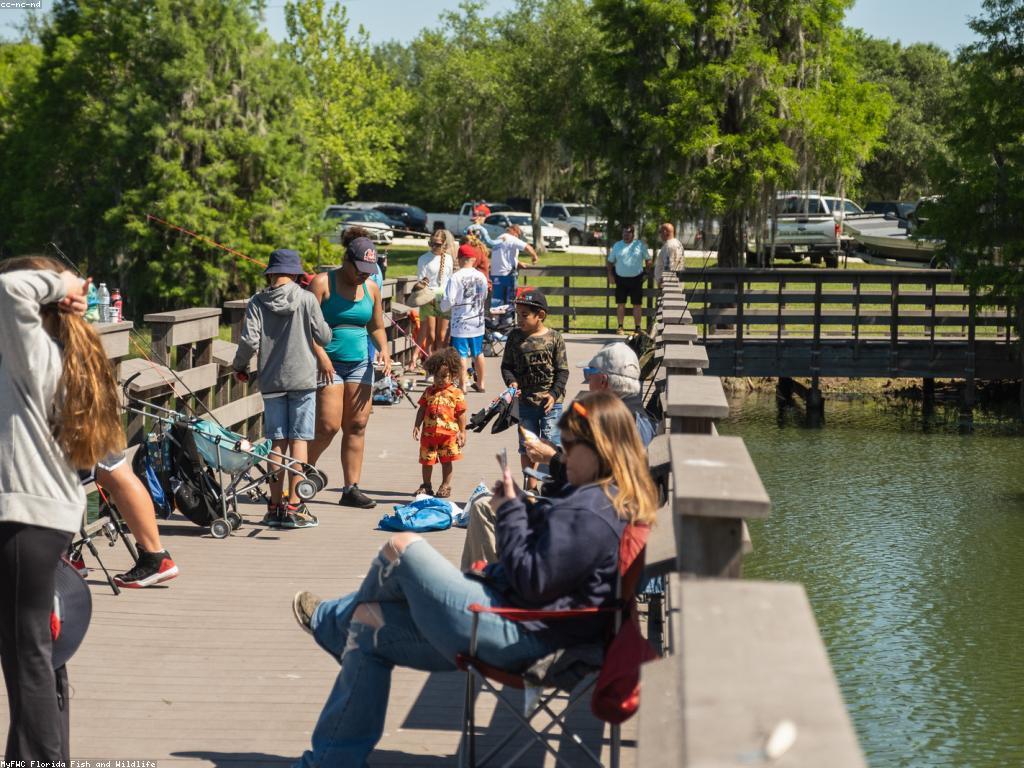 ដំណើរការសំរាប់ការប្រកួតបាញ់ត្រី