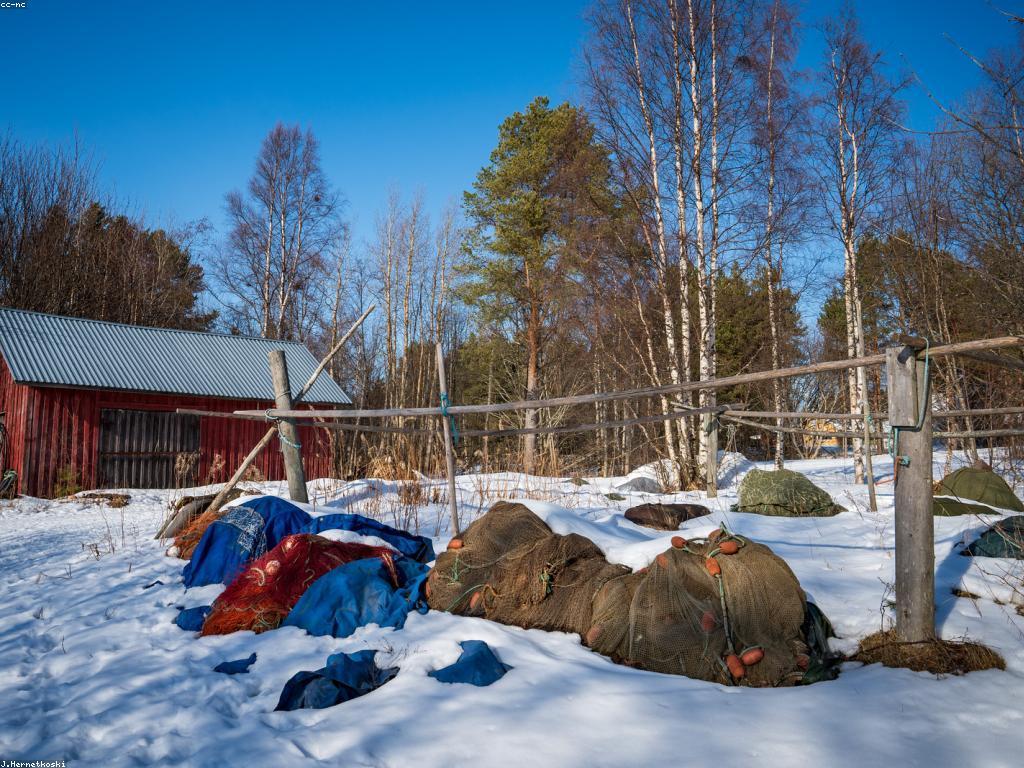 គន្លឹះនៃការប្រើប្រាស់ឧបករណ៍បាញ់ត្រី