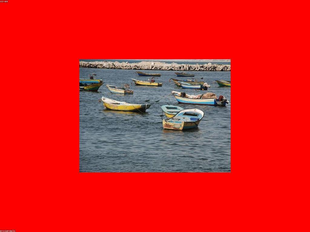 យុទ្ធសាស្ត្របាញ់ត្រី: ជម្រើសឧបករណ៍ដែលមានប្រសិទ្ធភាព