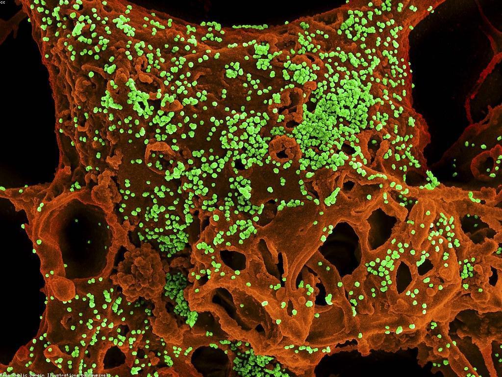 គន្លឹះសម្រាប់ការពិចារណា និងសុវត្ថិភាព