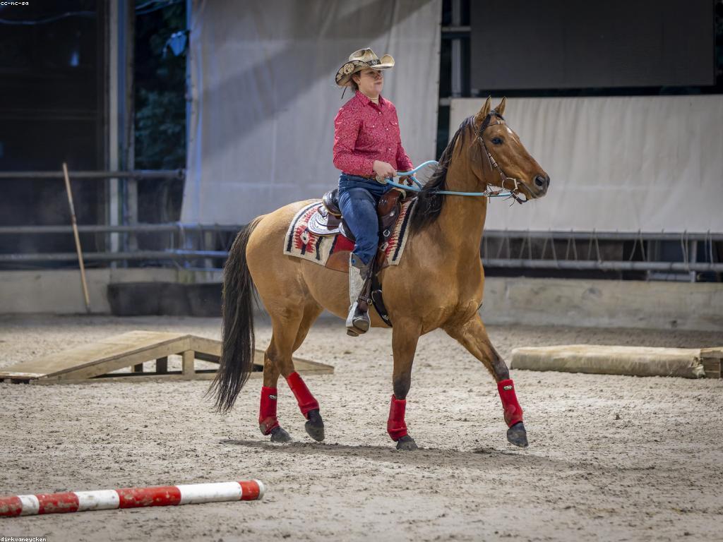 យុទ្ធសាស្ត្រសម្រាប់ការឈ្នះនៅក្នុងកីឡា