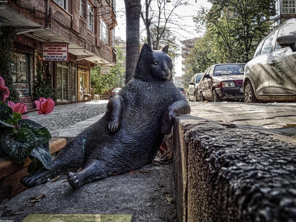 យុទ្ធសាស្ត្របាញ់ត្រី: លក្ខខ័ណ្ឌទឹកដែលមានអត្ថបេសកកម្ម