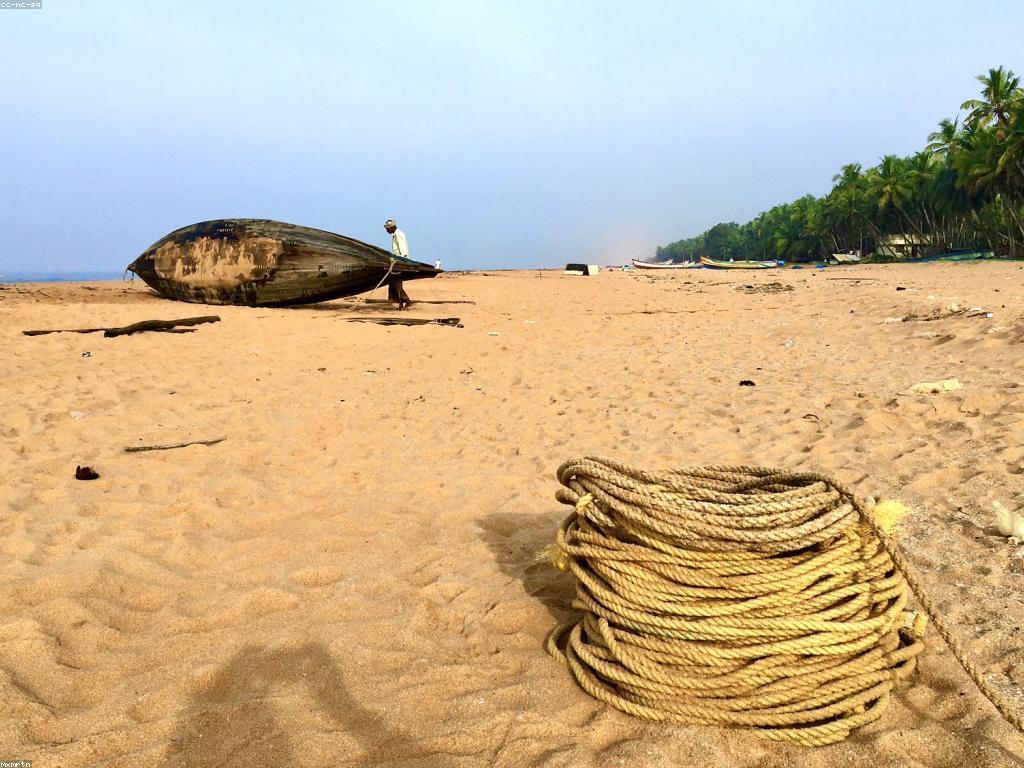 យុទ្ធសាស្ត្របាញ់ត្រីសម្រាប់ការអនុវត្តប្រកបដោយនិរន្តរ