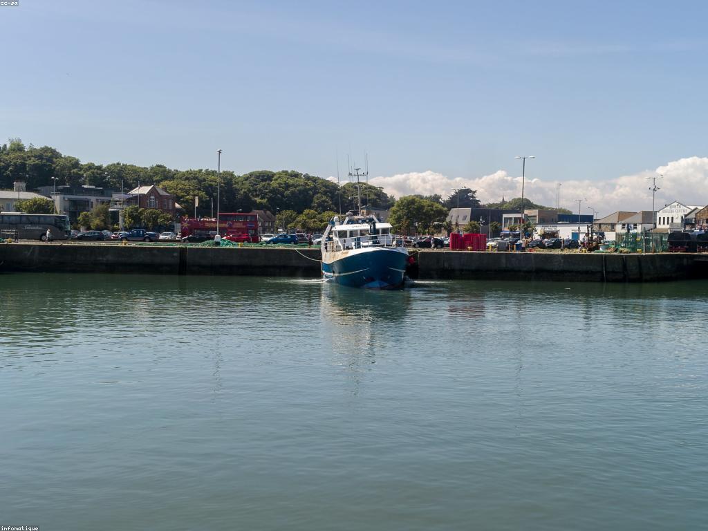 យុទ្ធសាស្ត្រដើម្បីឈ្នះការប្រកួតបាញ់ត្រី