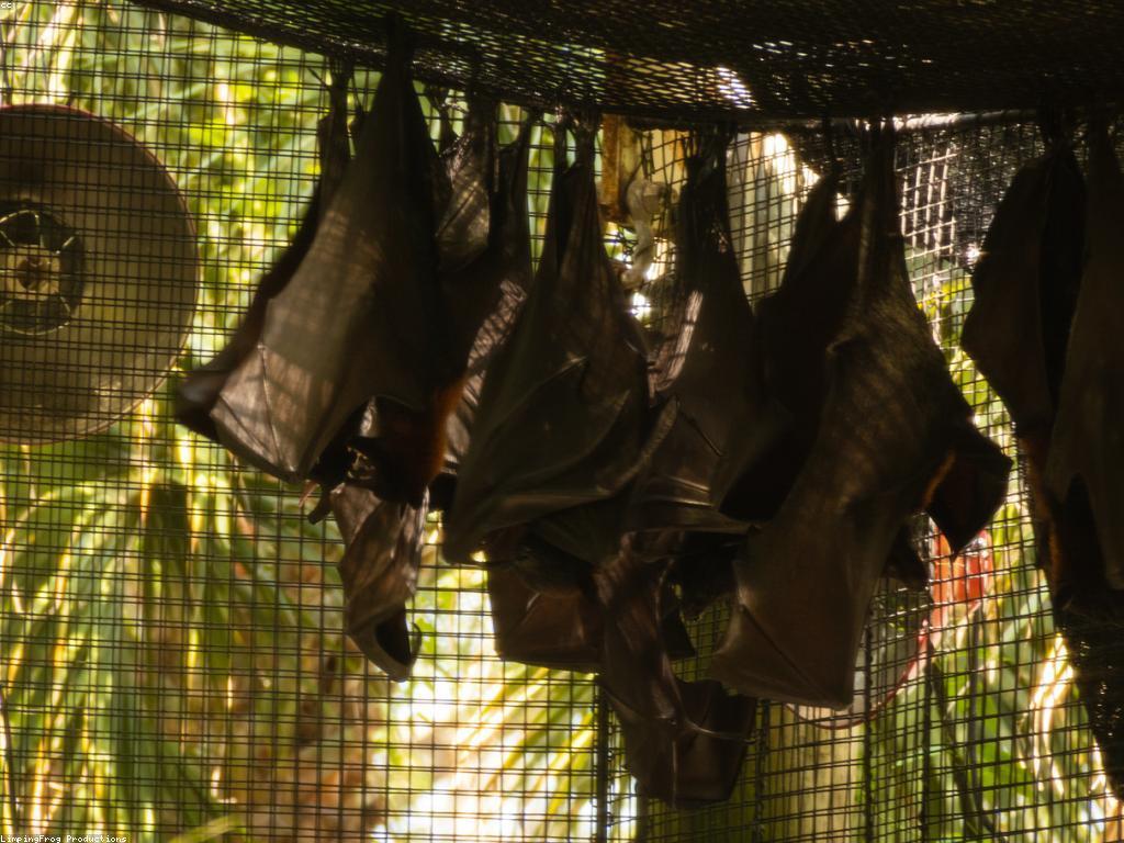 ព័ត៍មានពីស្លុត និងអាការណ៍សម្រាប់ការពារ