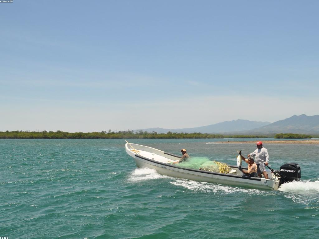 មគ្គុទេសក៍ពិសេសសម្រាប់ឧបករណ៍បាញ់ត្រី