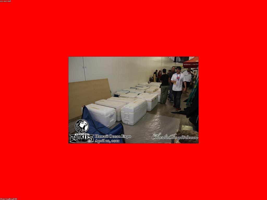 យុទ្ធសាស្ត្រដើម្បីឈ្នះការប្រកួតបាញ់ត្រី